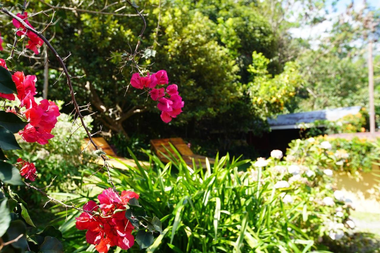 Agaseke Lodge โบเกเต ภายนอก รูปภาพ