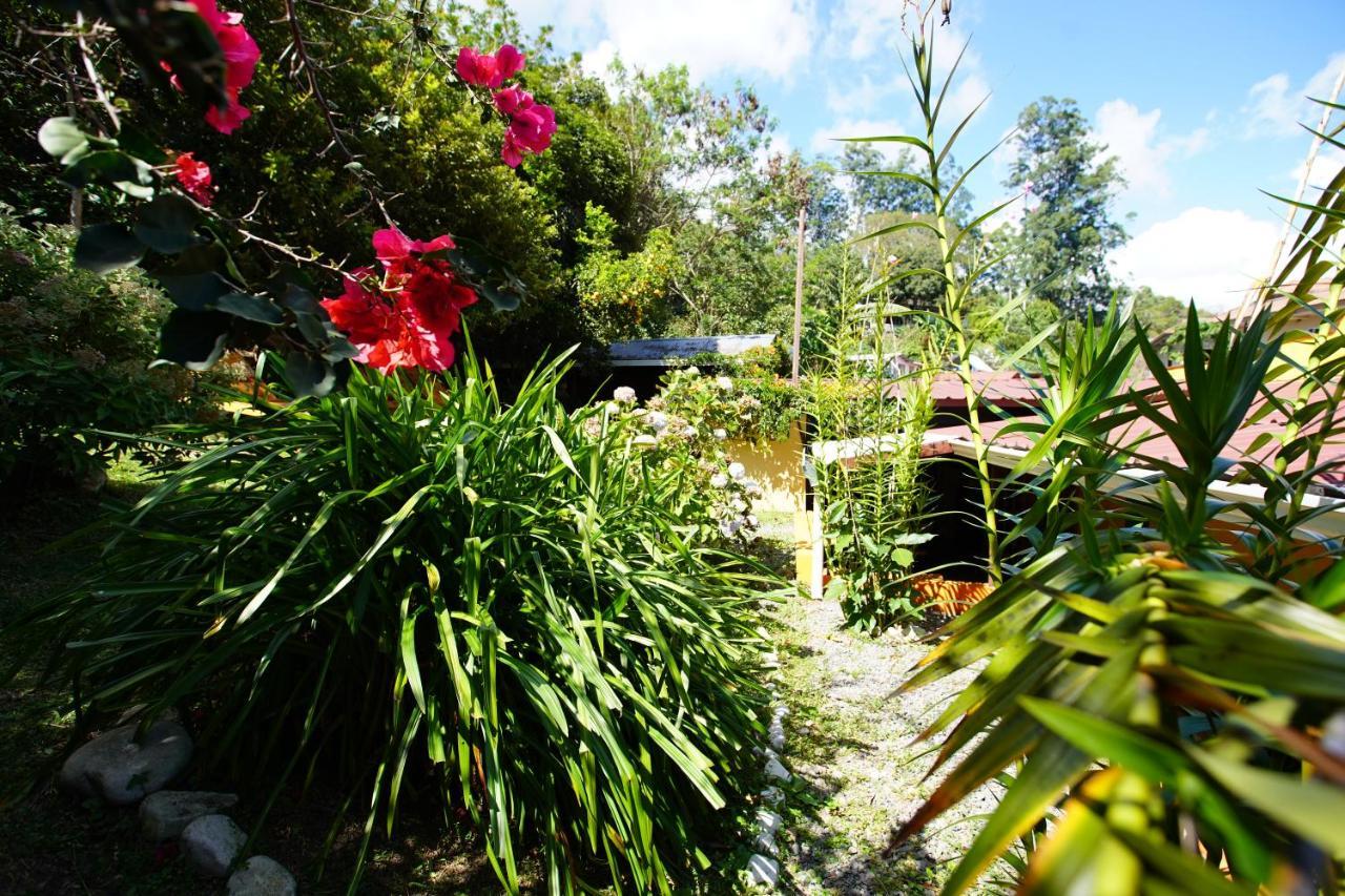 Agaseke Lodge โบเกเต ภายนอก รูปภาพ